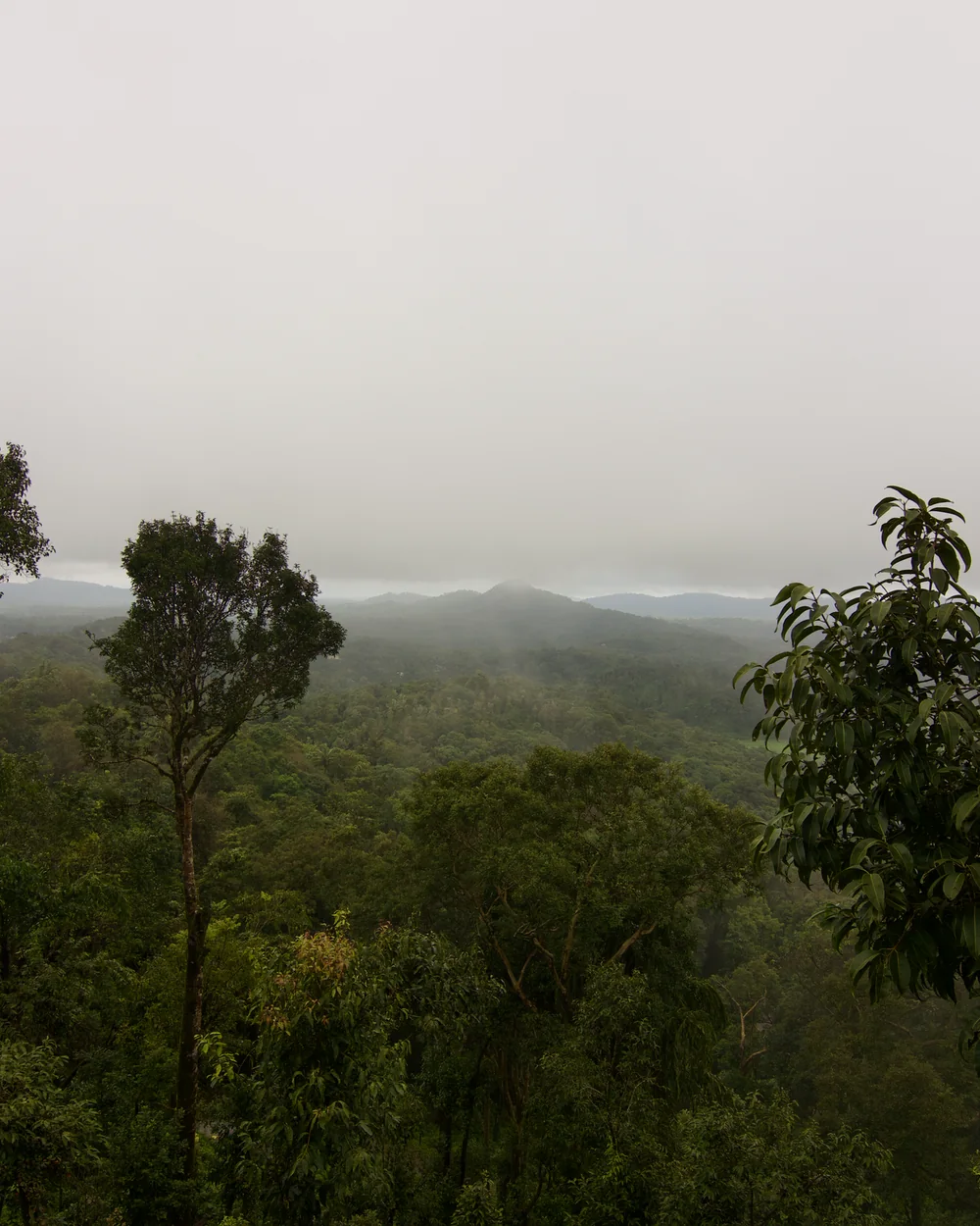 Coorg