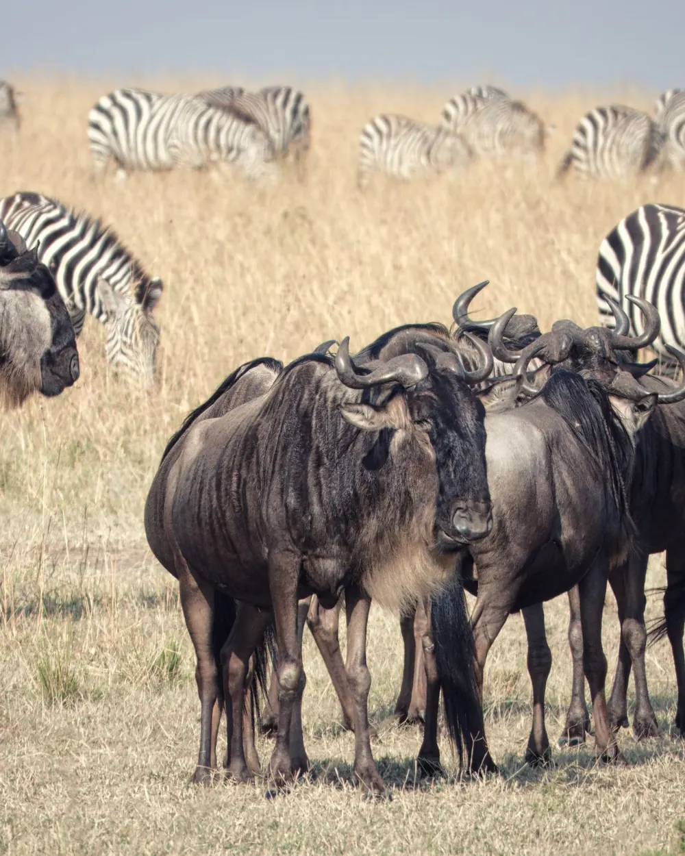 Kenya