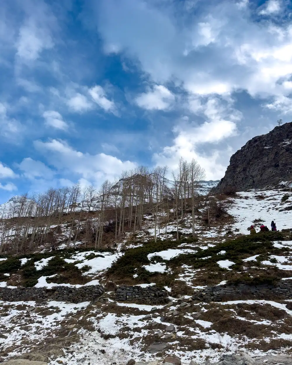 Himachal (Manali)